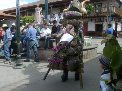 Imagen 2. Fuente: Danzante tradicional. Cheran, Michoacán de Ocampo, tomada por la Maestra Parastoo Anita Mesri Hashemi-Dilmaghani, el 5 de febrero de 2012.