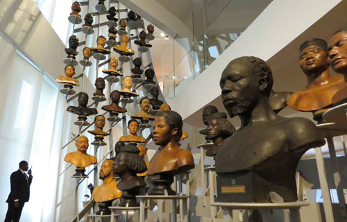 Refuncionalización de los bustos raciales en el nuevo Museo del Hombre