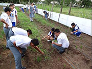 Ecoeficiencia y conciencia ambiental en estudiantes de la región San Martín, Perú